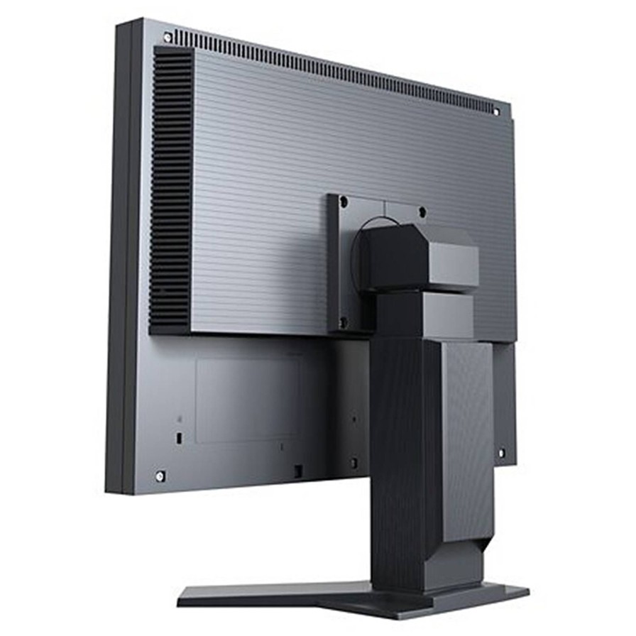 Eizo Eizo Flexscan S2133 21" Monitor - Black | Monitors