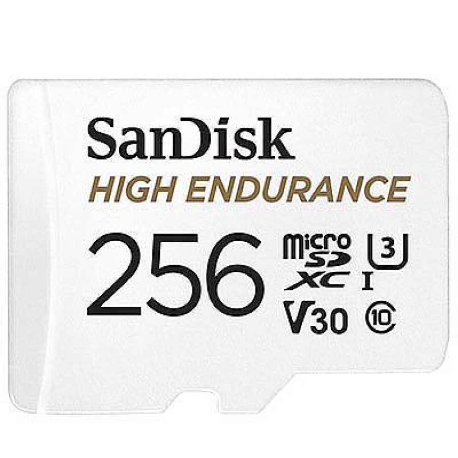 Sandisk Sandisk 256Gb High Endurance Microsdxc Card | Memory Cards