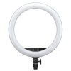 Godox Godox Lr150B Led Ring Light With Smartphone Holder | Led Lighting