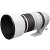 Canon Canon Rf 100-500Mm F4.5-7.1L Is Usm Lens | Mirrorless Lenses