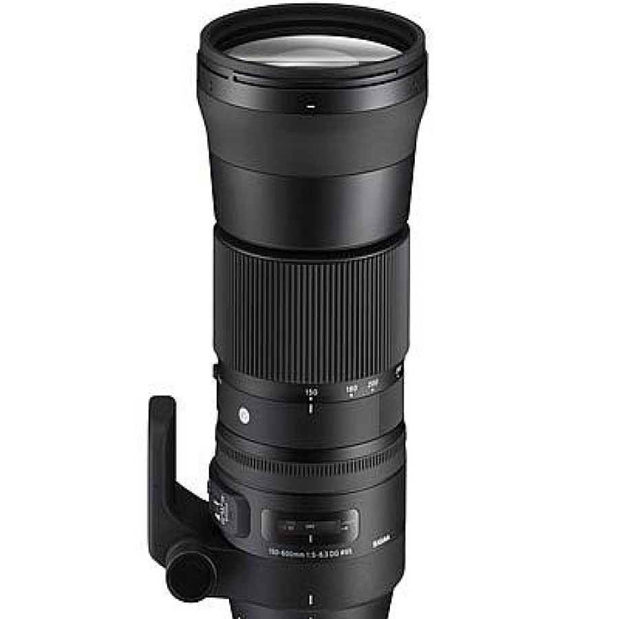 Sigma Sigma 150-600Mm F5-6.3 Contemporary Dg Os Hsm Lens For Nikon F | Dslr Lenses